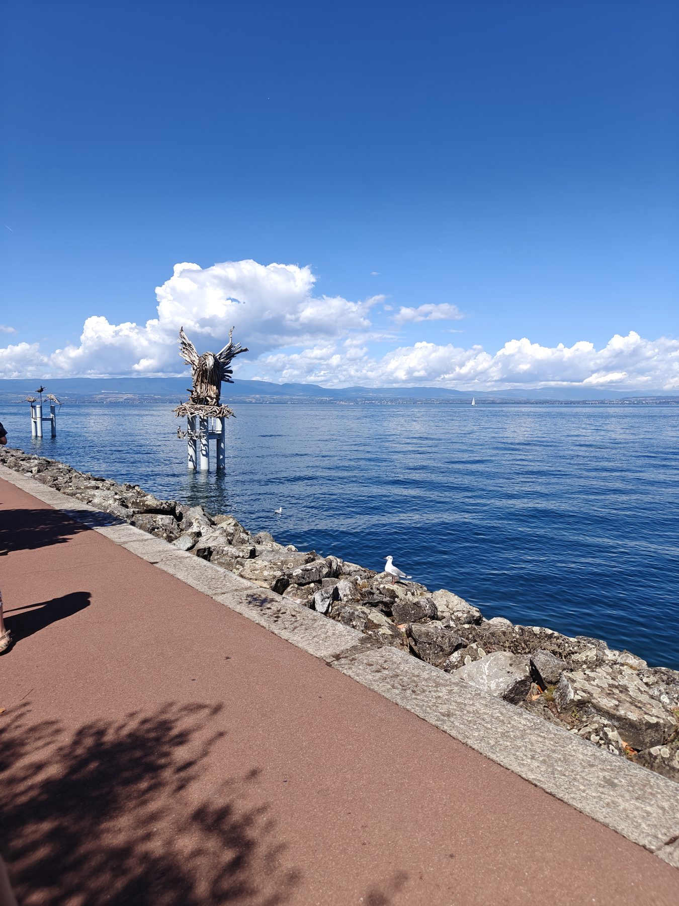 日内瓦湖南岸步道上的木雕与湖景